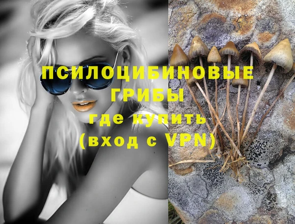 экстази Каменногорск
